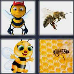 4 Pics 1 Word 3 Letters Bee