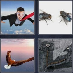 4 Pics 1 Word 3 Letters Fly