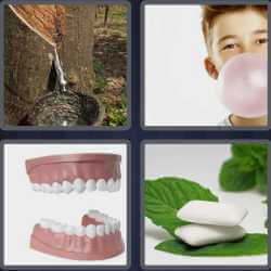 4 Pics 1 Word 3 Letters Gum