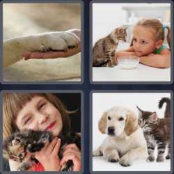 4 Pics 1 Word 3 Letters Pet