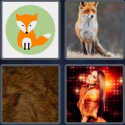4 Pics 1 Word 3 Letters Fox