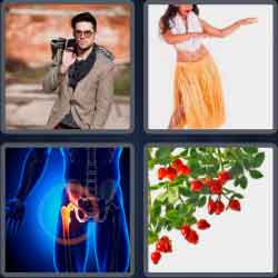 4 Pics 1 Word 3 Letters Hip