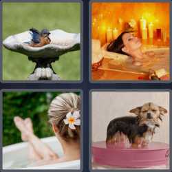 4 Pics 1 Word 4 Letters Bath