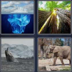 4 Pics 1 Word 4 Letters Huge