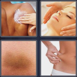 4 Pics 1 Word 4 Letters Skin