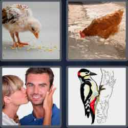 4 Pics 1 Word 4 Letters Level 3687 Peck