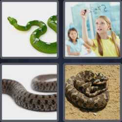 4 Pics 1 Word 5 Letters Adder
