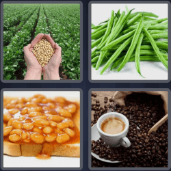 4 Pics 1 Word 5 Letters Beans