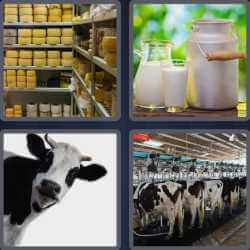 4 Pics 1 Word 5 Letters Dairy