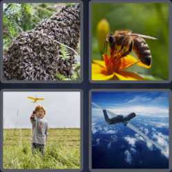 4 Pics 1 Word 5 Letters Drone