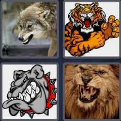 4 Pics 1 Word 5 Letters Growl