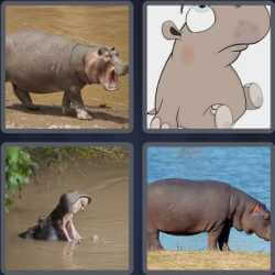 4 Pics 1 Word 5 Letters Hippo
