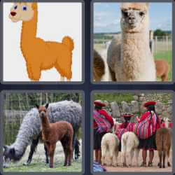 4 Pics 1 Word 5 Letters Llama