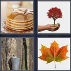 4 Pics 1 Word 5 Letters Maple