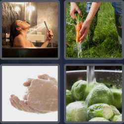 4 Pics 1 Word 5 Letters Rinse