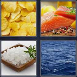 4 Pics 1 Word 5 Letters Salty