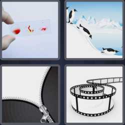 4 Pics 1 Word 5 Letters Slide