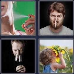 4 Pics 1 Word 5 Letters Smell