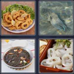 4 Pics 1 Word 5 Letters Squid