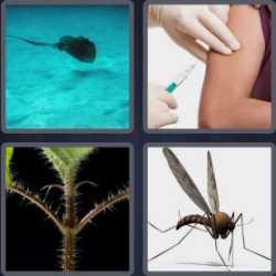 4 Pics 1 Word 5 Letters Sting