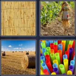 4 Pics 1 Word 5 Letters Straw