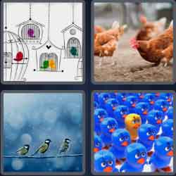 4 Pics 1 Word 5 Letters Birds