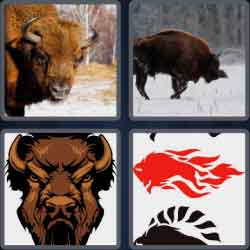 4 Pics 1 Word 5 Letters Bison