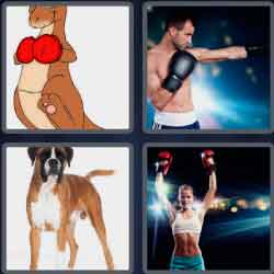 4 Pics 1 Word 5 Letters Boxer