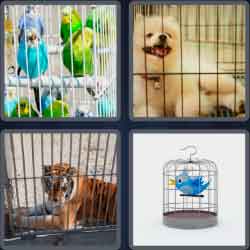 4 Pics 1 Word 5 Letters Caged