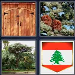 4 Pics 1 Word 5 Letters Cedar