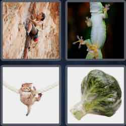 4 Pics 1 Word 5 Letters Cling