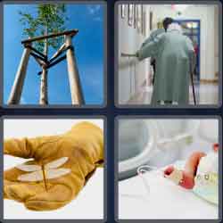 4 Pics 1 Word 5 Letters Frail