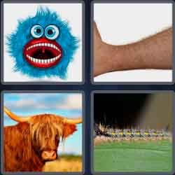 4 Pics 1 Word 5 Letters Hairy