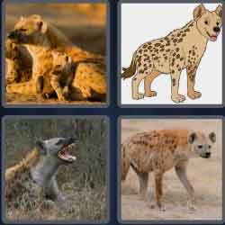 4 Pics 1 Word 5 Letters Hyena