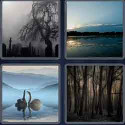4 Pics 1 Word 5 Letters Murky