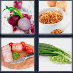 4 Pics 1 Word 5 Letters Onion