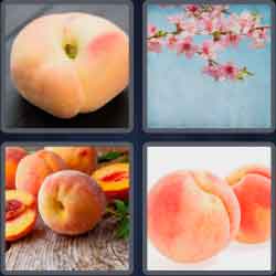 4 Pics 1 Word 5 Letters Peach