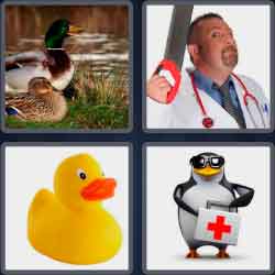 4 Pics 1 Word 5 Letters Quack