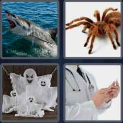 4 Pics 1 Word 5 Letters Scary