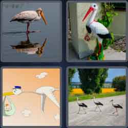 4 Pics 1 Word 5 Letters Stork