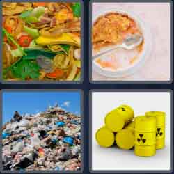 4 Pics 1 Word 5 Letters Waste