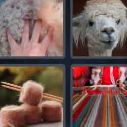 4 Pics 1 Word 6 Letters Alpaca