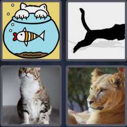 4 Pics 1 Word 6 Letters Feline