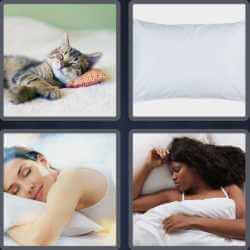 4 Pics 1 Word 6 Letters Pillow