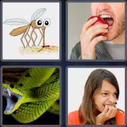 4 Pics 1 Word 6 Letters Biters