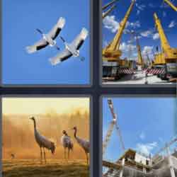 4 Pics 1 Word 6 Letters Cranes