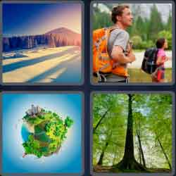 4 Pics 1 Word 6 Letters Forest