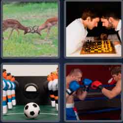 4 Pics 1 Word 6 Letters Rivals