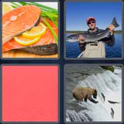 4 Pics 1 Word 6 Letters Salmon