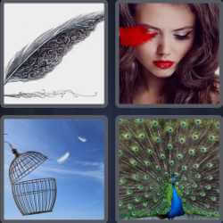 4 Pics 1 Word 7 Letters Feather